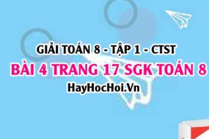 Giải bài 4 trang 17 Toán 8 Tập 1 SGK Chân trời sáng tạo